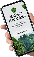 participation